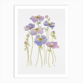 Lilac Anemone Flowers Art Print