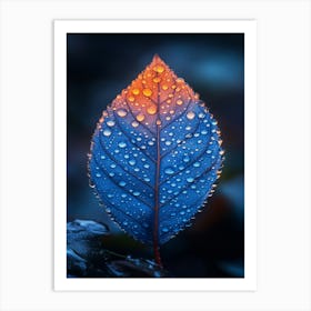 Blue Leaf With Water Droplets 14 Art Print