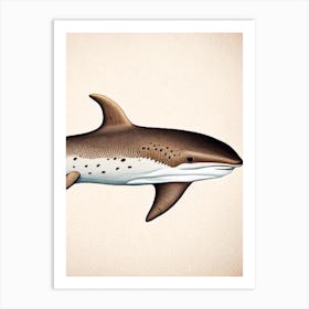 Carpet Shark Vintage Art Print