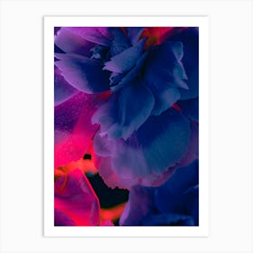 Carnations 3 Art Print