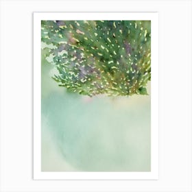 Acropora Horrida Storybook Watercolour Art Print