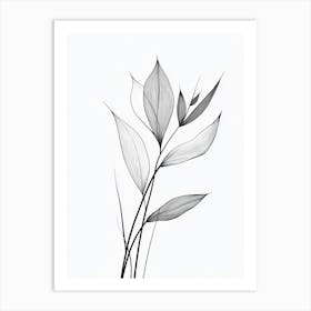 Leaf In Black And White Art Print