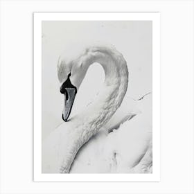 Swan portrait Art Print