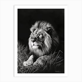Barbary Lion Charcoal Drawing Night Hunt 1 Art Print