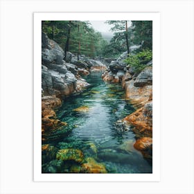 River In The Forest Art Print