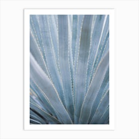 Pastelblue aloe vera leaves in a pattern - mexico nature and travel photography by Christa Stroo Photography Art Print