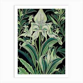 Hosta 2 Floral Botanical Vintage Poster Flower Art Print