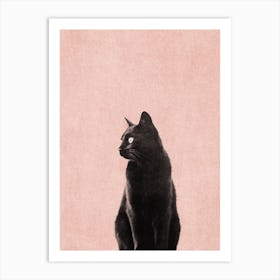 Black Cat Peach Art Print