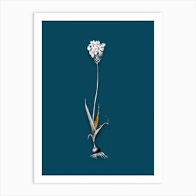 Vintage Chincherinchee Black and White Gold Leaf Floral Art on Teal Blue n.0767 Art Print