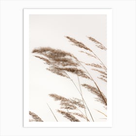 Grass Blowing In The Wind Art Print