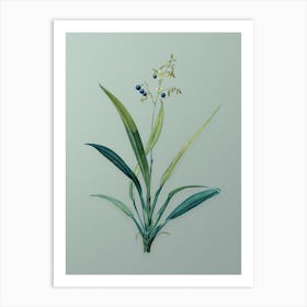 Vintage Flax Lilies Botanical Art on Mint Green n.0940 Art Print