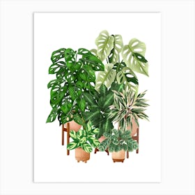 Plant Collection 1 Art Print