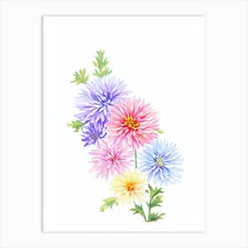 Chrysanthemums 2  Watercolour Flower Art Print