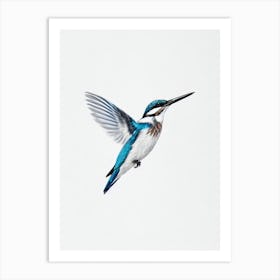 Kingfisher B&W Pencil Drawing 2 Bird Art Print