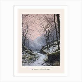 Dreamy Winter National Park Poster  Killarney National Park Ireland 1 Art Print