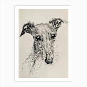 Greyhound Line Sketch 1 Art Print