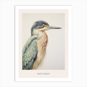 Vintage Bird Drawing Green Heron 1 Poster Art Print