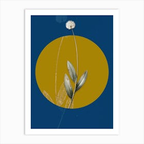 Vintage Botanical Victory Onion on Circle Yellow on Blue Art Print
