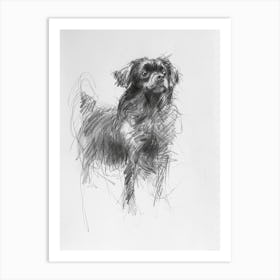 Tibetan Spaniel Dog Charcoal Line 1 Art Print