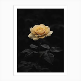 Single Yellow Rose Poster