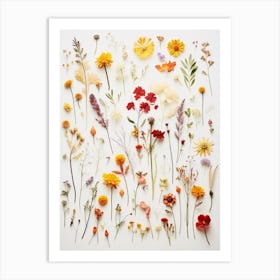 Pressed Flower Botanical Art Wildflowers 1 Art Print