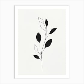 Branch Of Leaves 1 Art Print