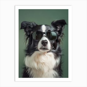 Border Collie Dog In Sunglasses Poster