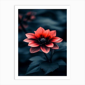 Red Dahlia Flower 1 Art Print