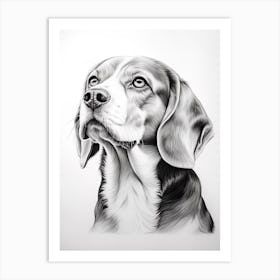 Beagle Dog, Line Drawing 4 Art Print