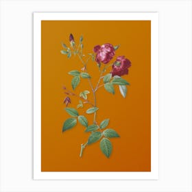 Vintage Velvet China Rose Botanical on Sunset Orange n.0848 Art Print