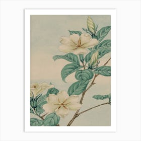 Chinese Magnolia Art Print