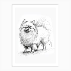 Pomeranian Line Sketch 4 Art Print