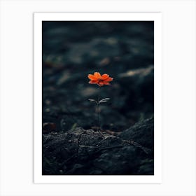 Single Flower 13 Art Print