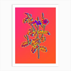 Neon Prickly Sweetbriar Rose Botanical in Hot Pink and Electric Blue n.0381 Art Print
