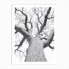 Black And White Tree 1 Art Print