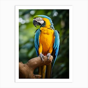 Tropical Treasure: Macaw Jungle Bird Print Art Print