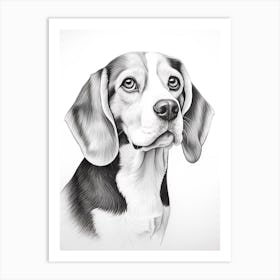 Beagle Dog, Line Drawing 3 Art Print