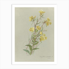 Yellow Flowers 3 Art Print