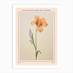 Lily 3 French Flower Botanical Poster Art Print