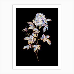 Stained Glass White Anjou Roses Mosaic Botanical Illustration on Black n.0220 Art Print