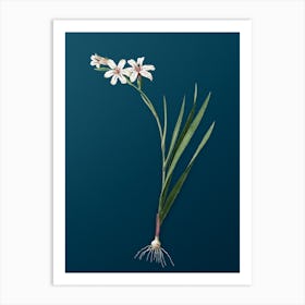 Vintage Gladiolus Botanical Art on Teal Blue n.0617 Art Print