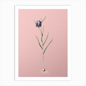 Vintage Chess Flower Botanical on Soft Pink Art Print