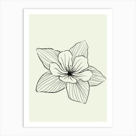 Flower Drawing 1 Art Print