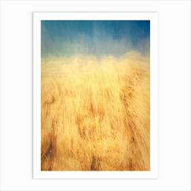 Sand Dune Grass And Blue Sky Art Print