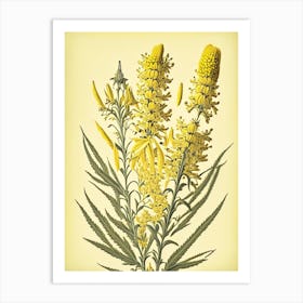 Goldenrod 3 Floral Botanical Vintage Poster Flower Art Print