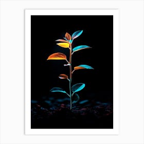 Plant In The Dark 42 Art Print