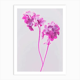 Hot Pink Lilac 3 Art Print