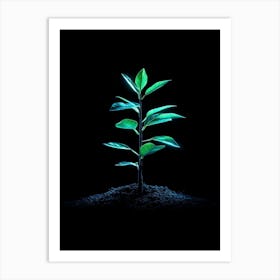 Green Plant On Black Background 5 Art Print