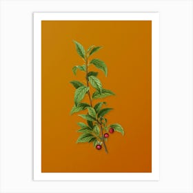 Vintage Cherry Botanical on Sunset Orange n.0076 Art Print