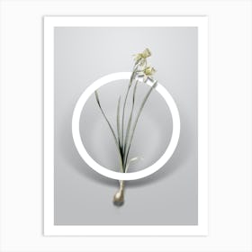 Vintage Narcissus Calathinus Minimalist Floral Geometric Circle on Soft Gray n.0291 Art Print